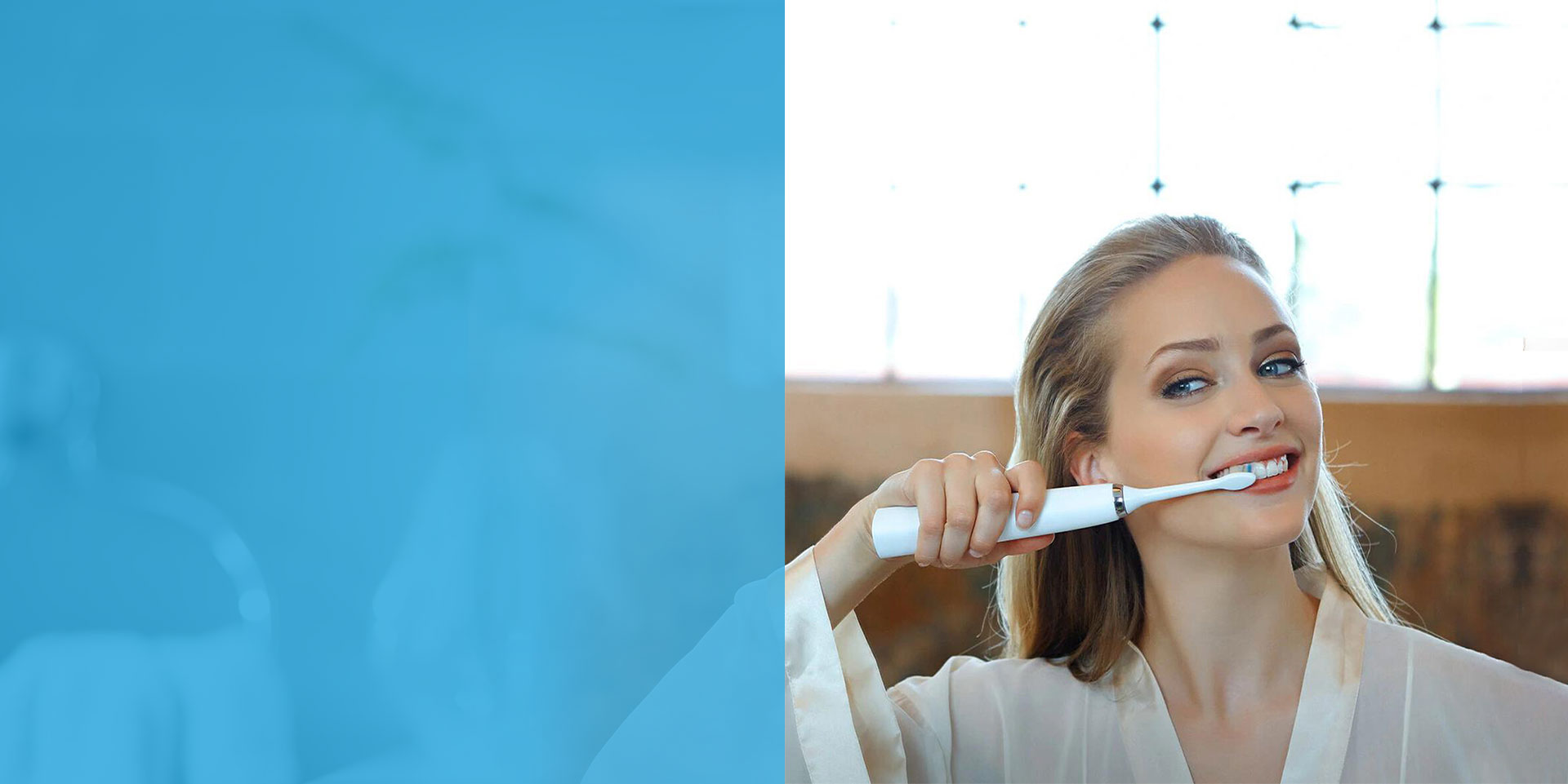 Quid interest inter Dentem Electric Toothbrushes et adultum electricum toothbrush?